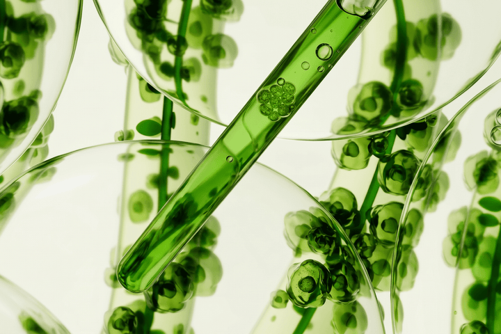 Microalgae Skincare for Men YCODE