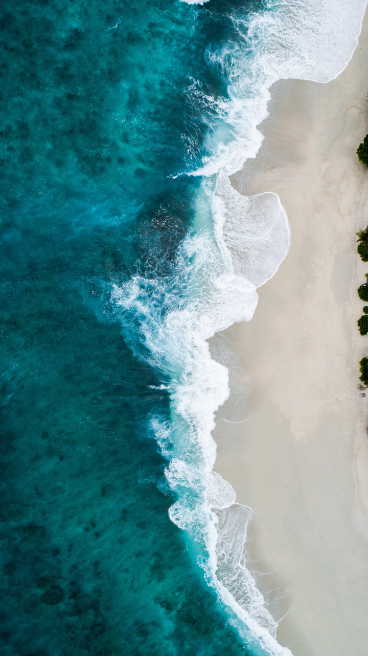 TOXIC INGREDIENTS TO AVOID IN SUNSCREEN - YCODE