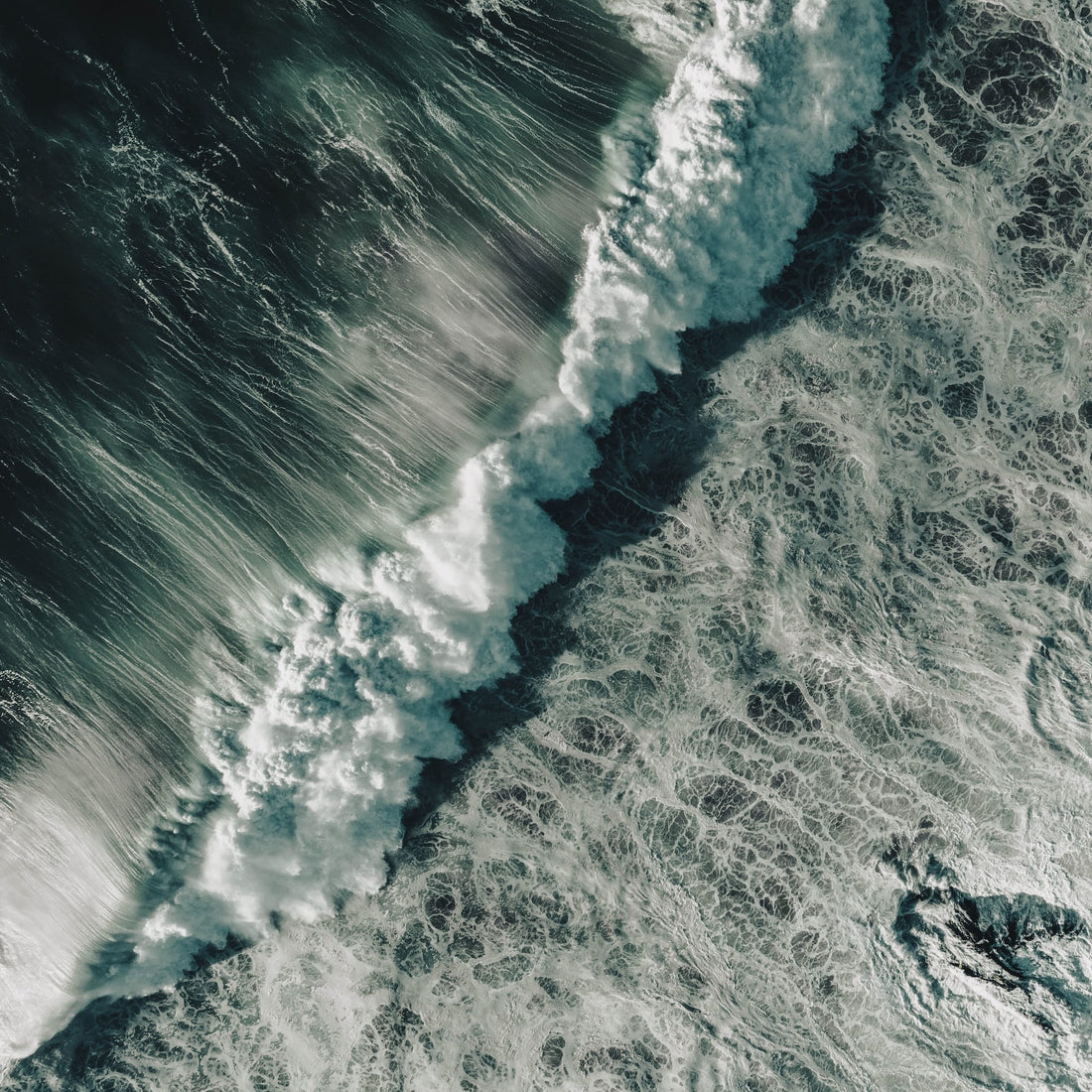 From Sea to Cell™ | The philosophy behind YCODE