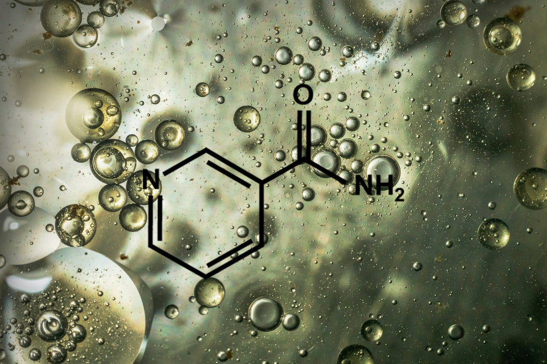 YCODE_Niacinamide