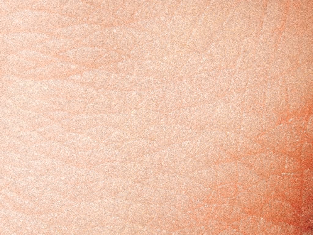 The Skin Barrier: What Every Man Should Know