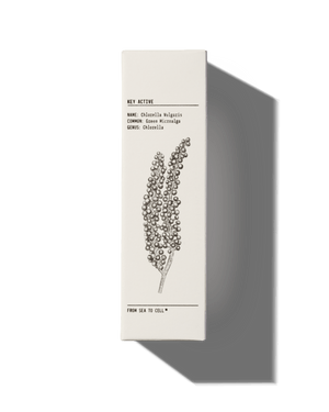 MATTIFYING MOISTURISER